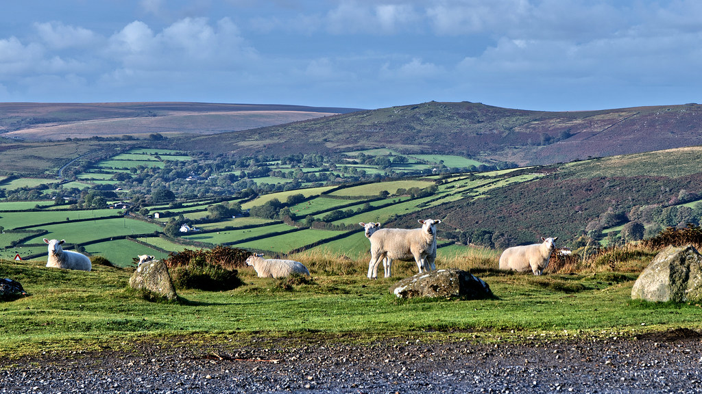 The Locals in or near Dartmoor